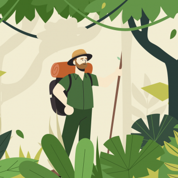 معلم‌ها چگونه یاد می‌گیرند؟